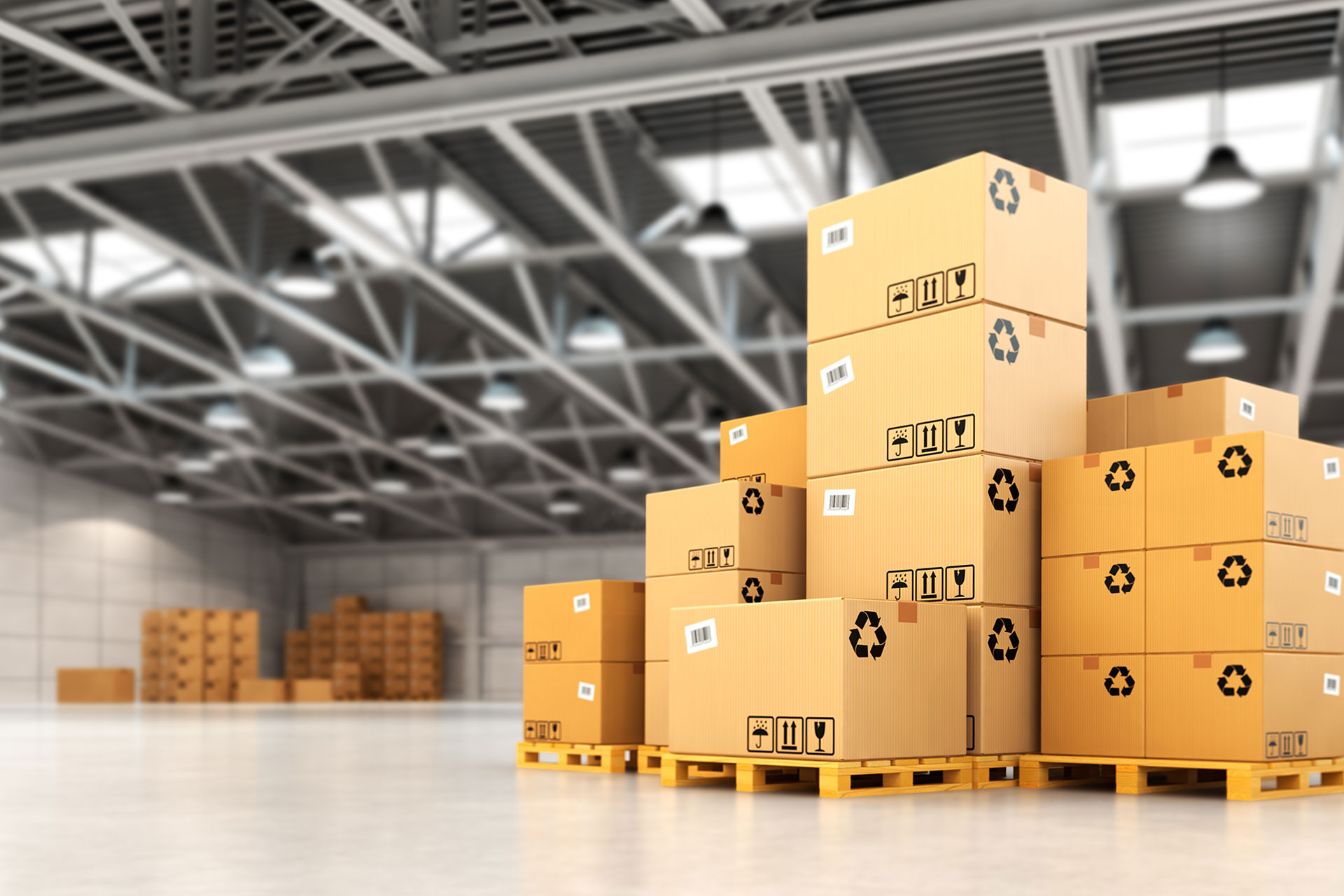 GEPI – Logistica e Servizi di Magazzino