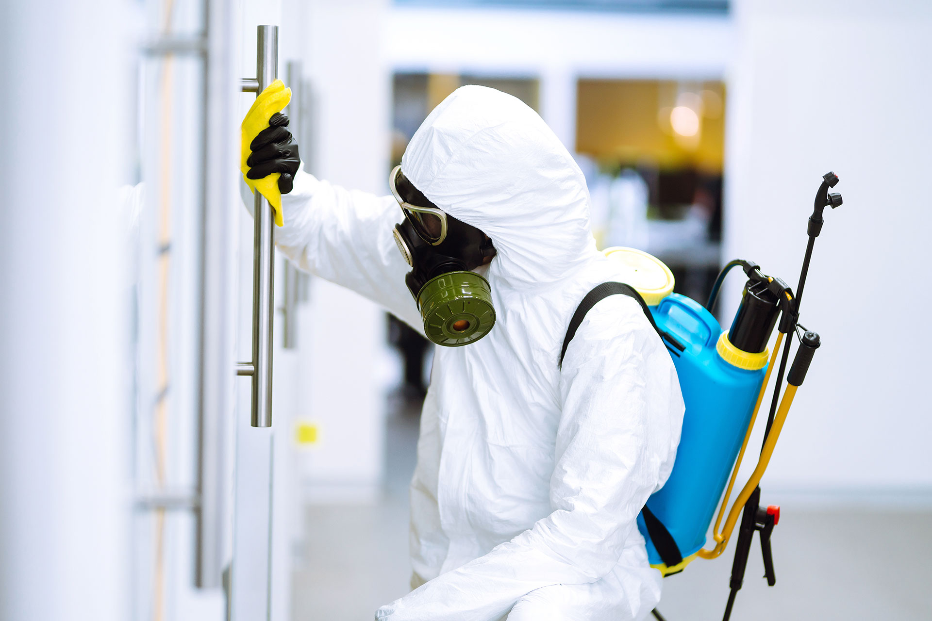 GEPI – Servizi di Sanificazione e Derattizzazione